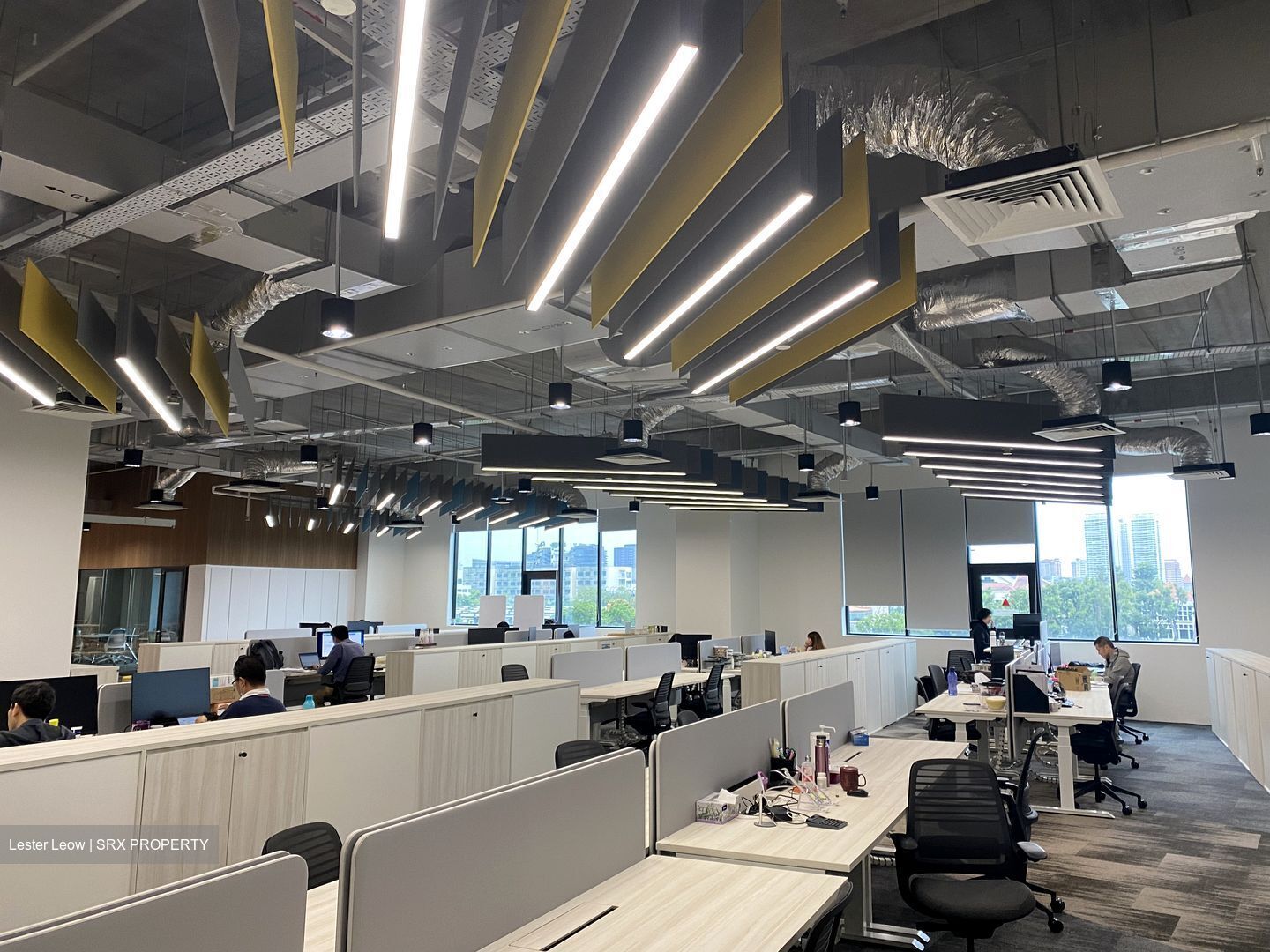 Braddell Road (D13), Office #455447601